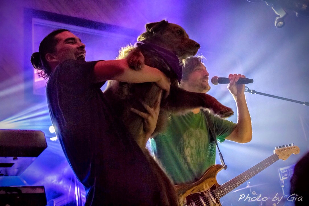 Kbong, Cocoa, And Scott From Stick Figure Thanking Their Happy Audience.