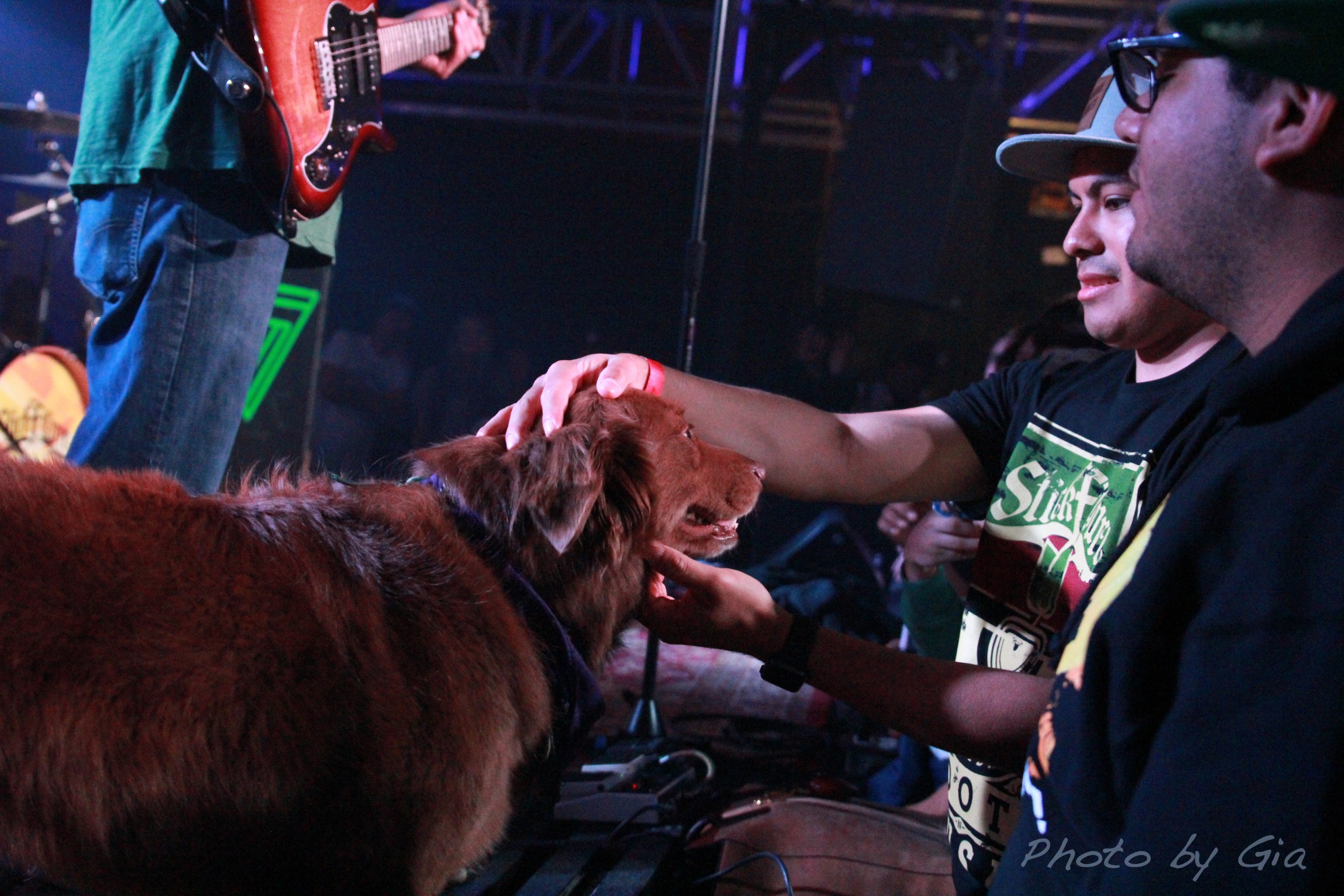 Cocoa The Tour Dog Giving The Audience Some Love.